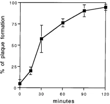 Figure 3 shows the percentage of residual plaque formation for viruses treated with different MAbs added either before [Fig