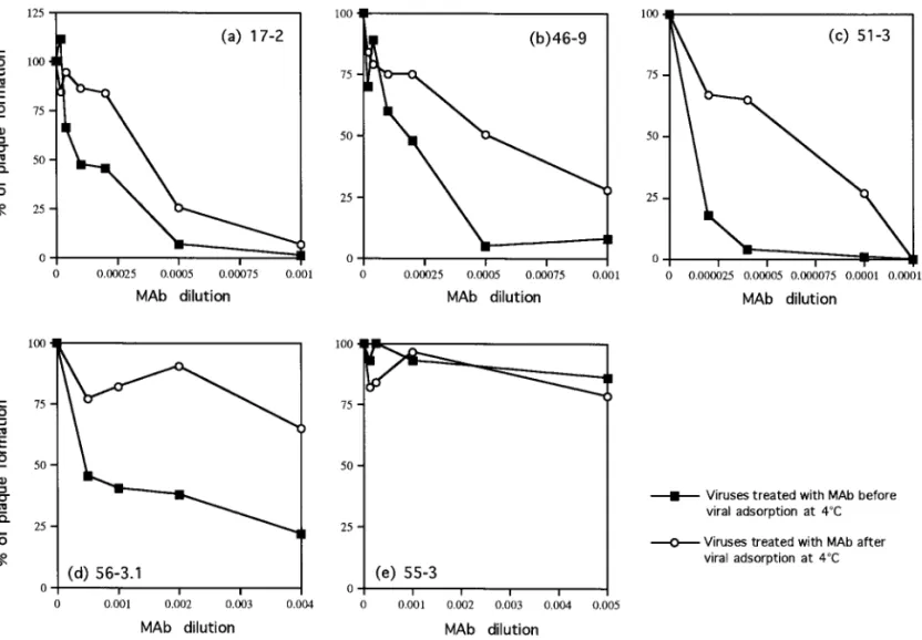 FIG. 3. Neutralization of viruses by treatment with anti-E-specific monoclonal antibodies (MAbs) before (preadsorption) or after (postadsorption) viral adsorption