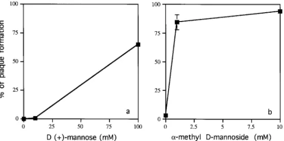 FIG. 6. Blocking the effects of Con A by competitors in the competition assay. (a) D -( 1)-mannose and (b) a-methyl- D -mannoside were used as competitors to block the inhibitory effect of Con A (20 mg/ml).