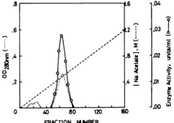 FIG. 2. Ion exchange chromatographic pattern of the enzyme from the gel filtration step on a DEAE-cellulose column.