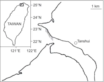 Fig.  1)  on  25  Nov.  and  25  Dec.  2000,  and  7  Feb.