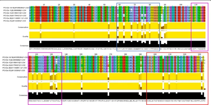 Fig. 6 Sequence alignments of the CP of PCV2 strains from different PCV2 genetic clusters were used [22]