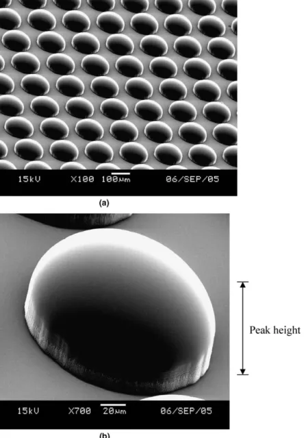 Fig. 5. SEM of the typical cylindrical microlens array. (a) The SEM image of a cylindrical microlens array and (b) the zoomed cross- cross-section view of a single cylindrical microlens.