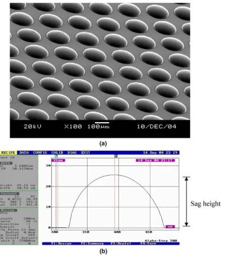 Fig. 6. The perfect hemispherical microlens array and its surface proﬁle. (a) SEM image of the hemispherical microlens array and (b) surface proﬁle of a single hemispherical microlens.