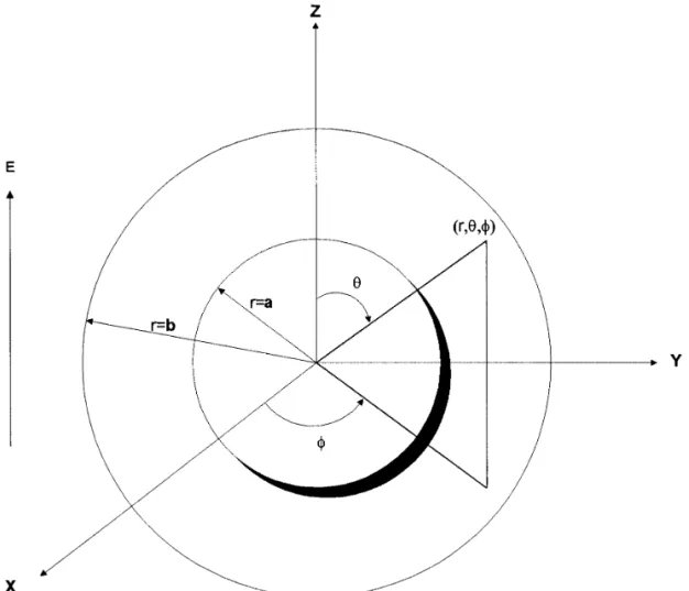 FIG. 1. Schematic representation of the system under consideration.