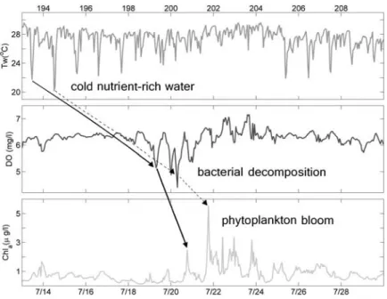 Figure 5. Observed variations of (top) water temperature, (middle) dissolved oxygen, and (bottom) chlorophyll at 20-m depth for 2 weeks following an internal wave incursion to Dongsha Atoll.