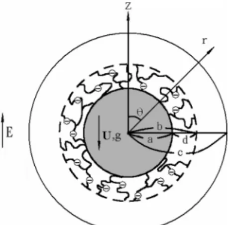 Figure 1. Sedimentation of a spherical particle of radius b at the center of a spherical cavity of radius c