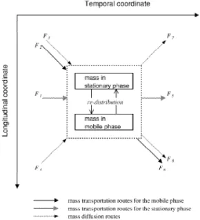 Fig. 1. Mass flux balance of a single parcel on the longitudinal–