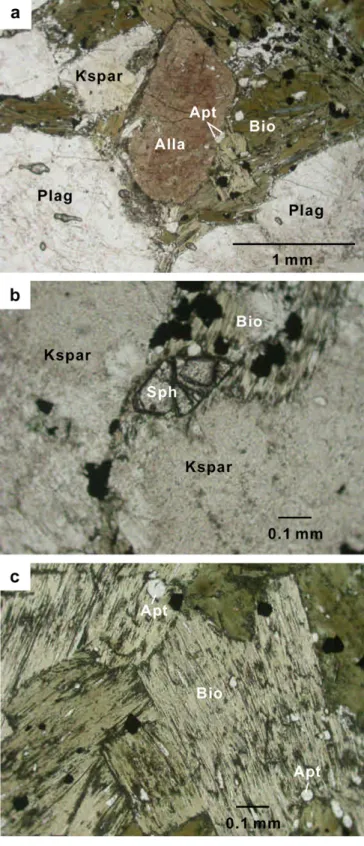 Fig. 8. (a) Photomicrograph showing the large euhedral allanite crystal in the NLM pegmatitic granite (sample 99GD36a)