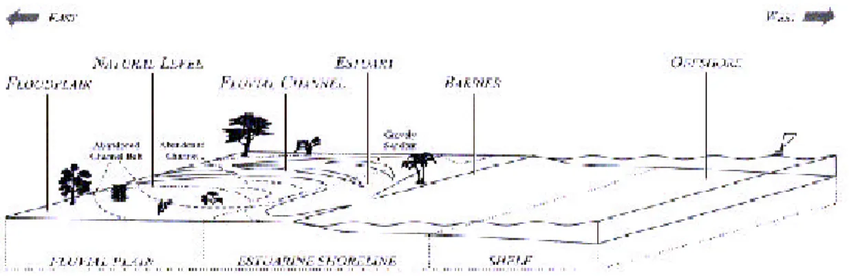 Figure 4. Schematic depositional model and facies associations of the lower Oligocene strata measured in Kuohsing.