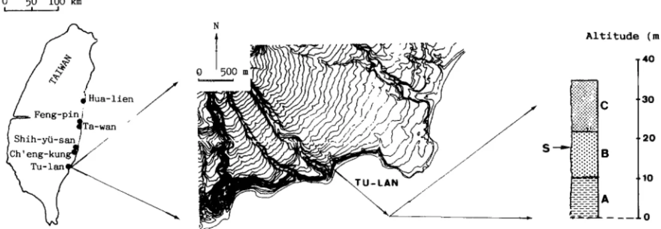 Fig. 2.  Location map and simplified profile of the Tu-lan section (from Hsieh,  1990, modified); A = Pliocene sedimentary basement; 