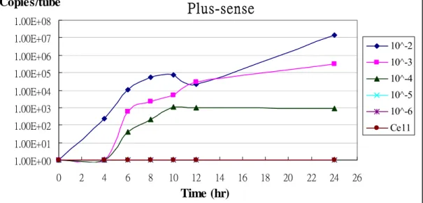 Fig. 3 Time course of SARS-CoV RNA in virus-infected Vero E6 cells  suspension was  10-fold serially diluted and then inoculated Vero E6 cells