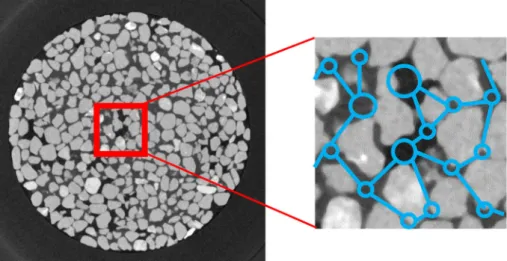 Figure 4 shows a 2D cross-sectional image of a packed quartz sand medium and a 2D pore network extracted from the selected section of the pore structure (red square)
