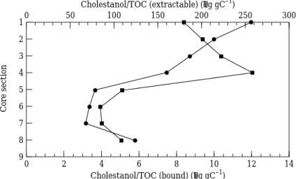 Figure 3. Depth profiles of cholestanol (normalized to total organic carbon) for Core A from the Tan-Shui estuary