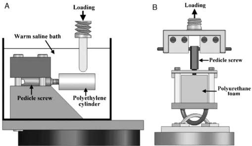 FIGURE 4. Finite element model to simulate mechanical tests.