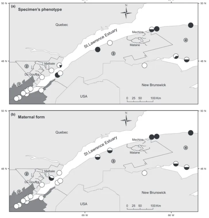 Fig. 4. Proportion of the anadromy and freshwater (FW)-residency forms in 83 rainbow trout (Oncorhynchus mykiss) captured in the Quebec City and Eastern Quebec regions, as determined from the otolith Sr:Ca patterns: (a) phenotype of analysed specimens, (b)