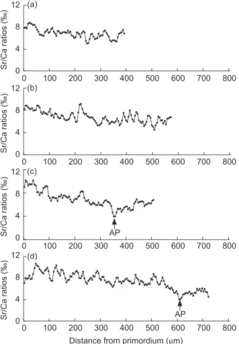 Fig. 6.  Temporal changes in Sr/Ca ratios in otoliths of mullet  collected at Salun in January 2003