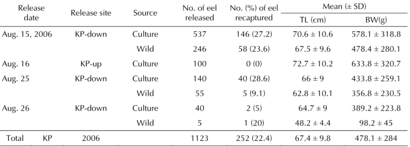 Table 3    Mean (± SD) total length (TL) and body weight (BW) of released Japanese eels,  Anguilla japonica , in the  upstream (KP-up) and downstream (KP-down) of the Kao-Ping River in 2006