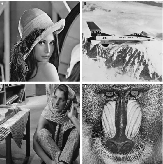 Fig. 7. Four testing gray images. (A) Lena. (B) F16. (C) Barbara. (D) Baboon.