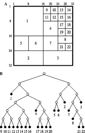 Fig. 2. A partitioned image example and the constructed bintree representation. (A) A partitioned image example