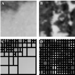 Fig. 3. Memory-redundant problem in the STC-based SDS. (A) A low frequency subimage: sky part of F16 image