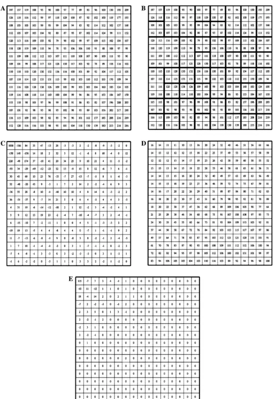 Fig. 4. An example to demonstrate the memory-saving advantage of DCT approach. (A) The upper-top one-fourth subimage of Fig