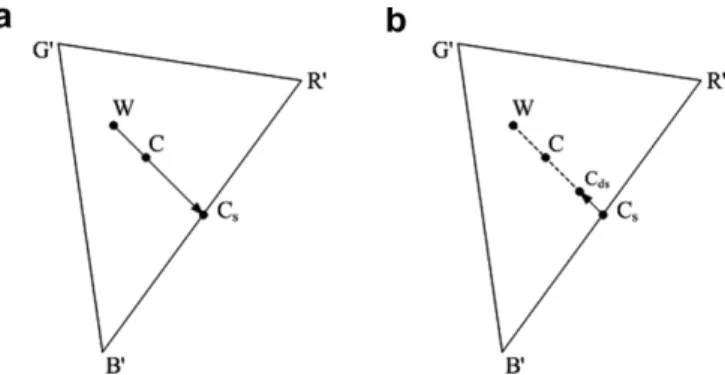 Fig. 2. The ﬁrst two steps in our proposed algorithm. (a) The saturation step. (b) The