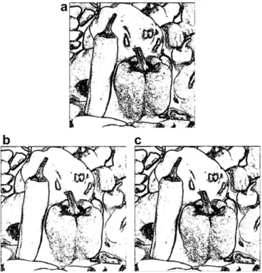 Fig. 9. The edge maps of color Peppers images. (a) The edge map of original image.