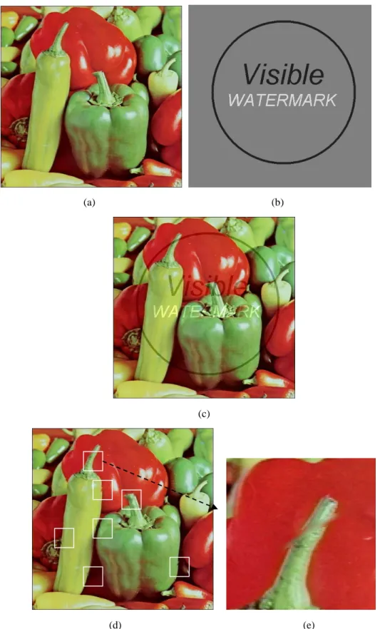 Figure 2. (a) The pepper host image, (b) the corresponding simple watermark pattern, (c) the visibly watermarked  image, and (d) the recovered image obtained by using the simple averaging technique