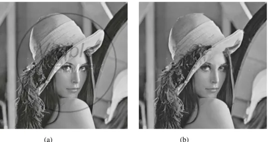 Figure 5. The watermarked lena image, shown in Fig.1, is recovered by applying inpainting techniques