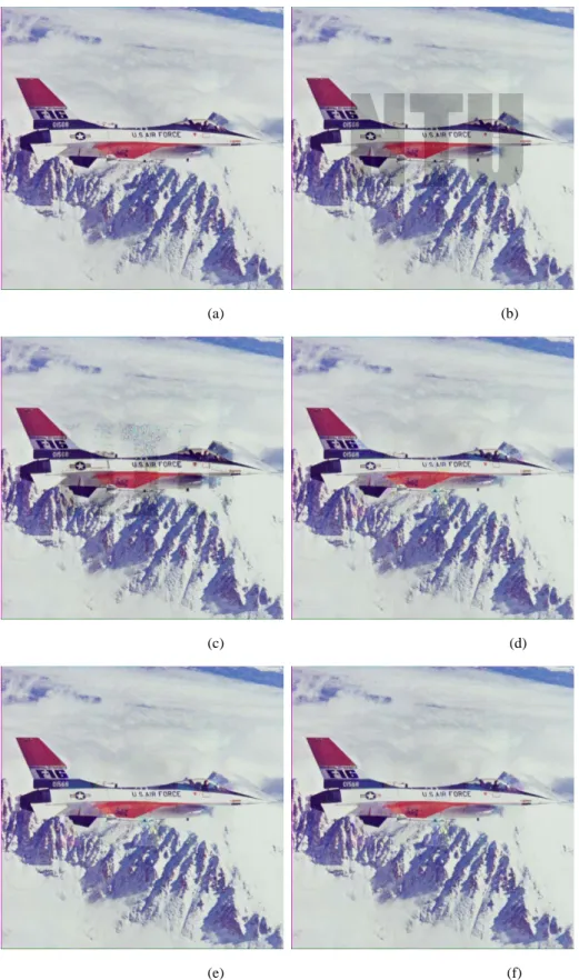 Figure 9. (a)The original airplane image, (b) the embedded airplane image (PSNR=25.03), (c) the embedded airplane  image in which flat watermarked areas divided by watermark borders have been recovered (PSNR=28.24), (d) the  embedded airplane image after r