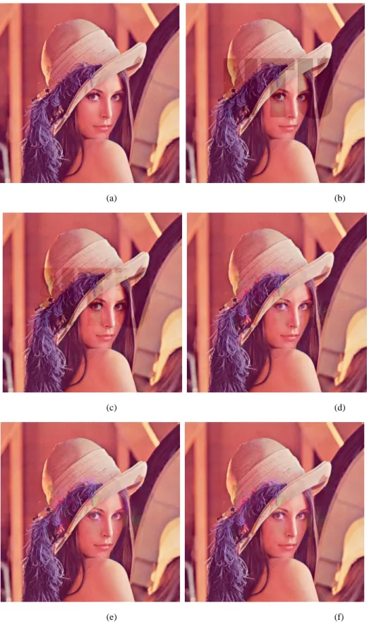 Figure 10. (a)The original lena image, (b) the embedded lena image (PSNR=27.32), (c) the embedded lena image in which flat  watermarked areas divided by watermark borders have been recovered (PSNR=28.91), (d) the embedded lena image after recovering 