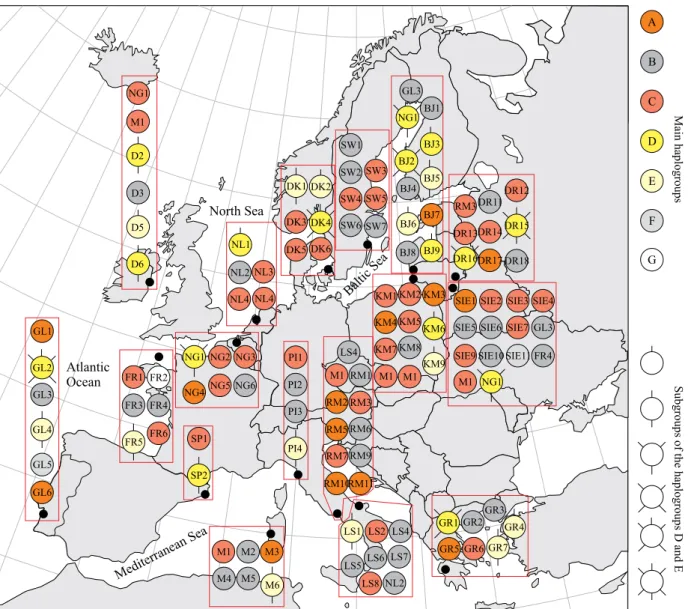 Figure 5. Distribution of haplotypes listed according to sampling locations (small dots represent our research areas, large  dots indicate areas studied by other authors): GL (Portugal, Atlantic coast), SP (Spain, Barcelona), M (Italy, Cabras Lagoon),  PI 