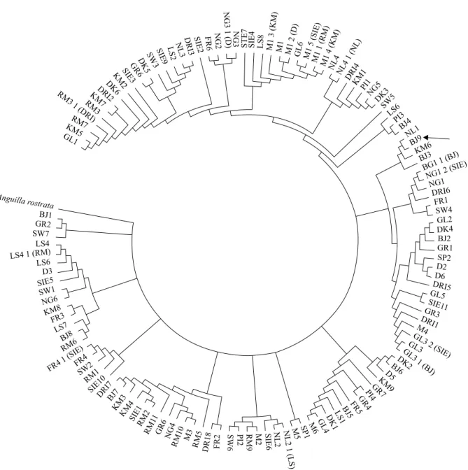 Figure 3. Evolutionary relationships of 126 taxa (A. rostrata sequence accession number in GenBank is AB030662)