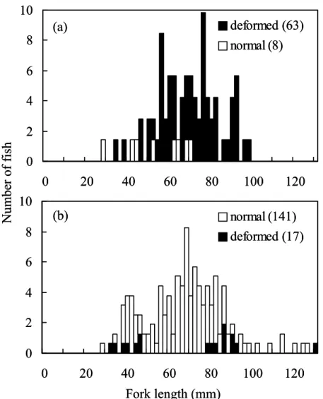 Fig. 3.  Length frequency distribution of the thornfish collected in the thermal effluent outlet of  the second nuclear power plant in 1993 (a) and 1994 (b)