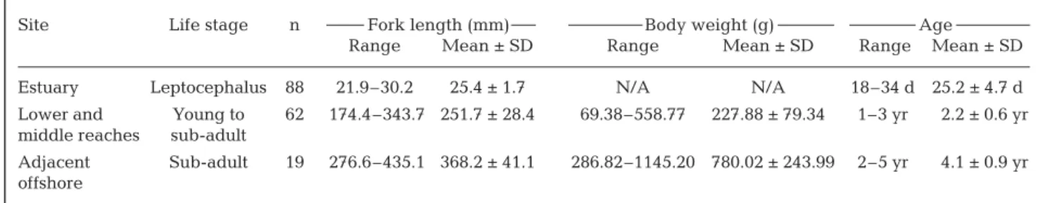 Table 1. Megalops cyprinoides. Range and mean (± SD) fork length, body weight and age by sampling site and life stage of Pacific  tarpon from the Tadu Creek system and adjacent offshore waters, Taiwan