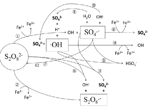 Figure 2.2 The reaction mechanism in Fe 2+  activated PDS without the presence of target  organic compounds