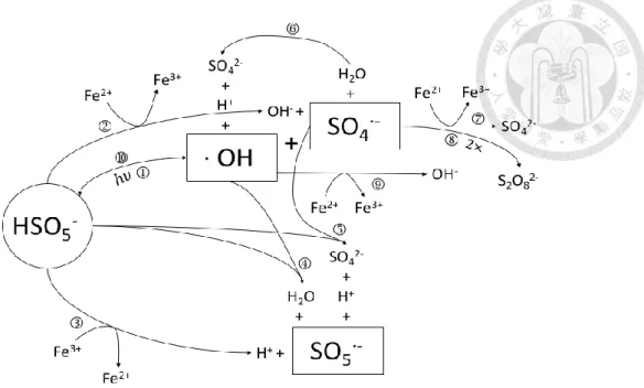 Figure 2.3 The reaction mechanism in Fe 2+  activated PMS without the presence of target  organic compounds