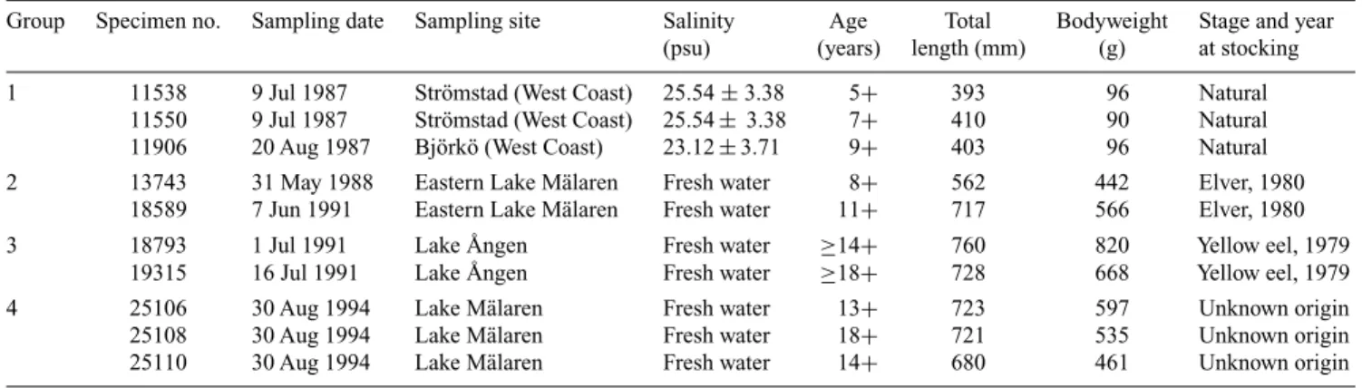 Table 1. Life history of the four groups of yellow stage, female European eels used in the present study
