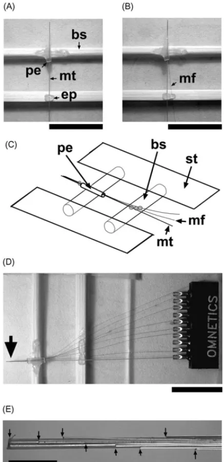 Fig. 2. Fabrication jig and the assembly of the eight-channel vertical microwire array