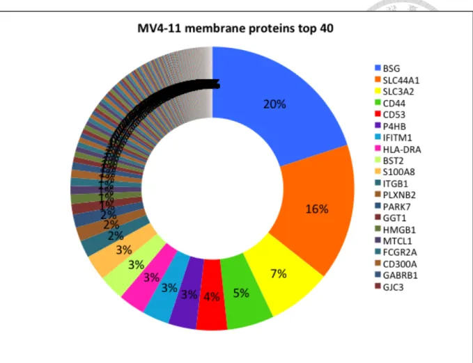 Figure 3. The composition of membrane proteome from MV4-11.    BSG (CD147) made  up 20% of the total membrane proteins
