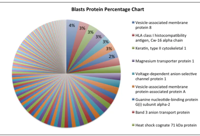 Figure 8.    A close-up analysis for refractory leukemic blast membrane proteome 