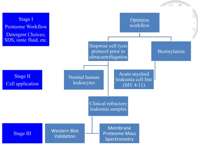 Figure 1. The overall scheme of this project. Three stages are planned to carry out in a  stepwise fashion