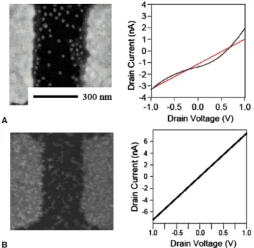 Fig. 7. FE-SEM images of I–V curves of the AuNPs multilayer and nanogap electrode (A) without BCA and (B) with BCA by using T1DNA, the concentration of which is 100 fM.