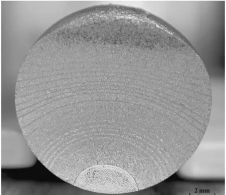 Figure 7. A typical rod fracture surface showing beach markings.