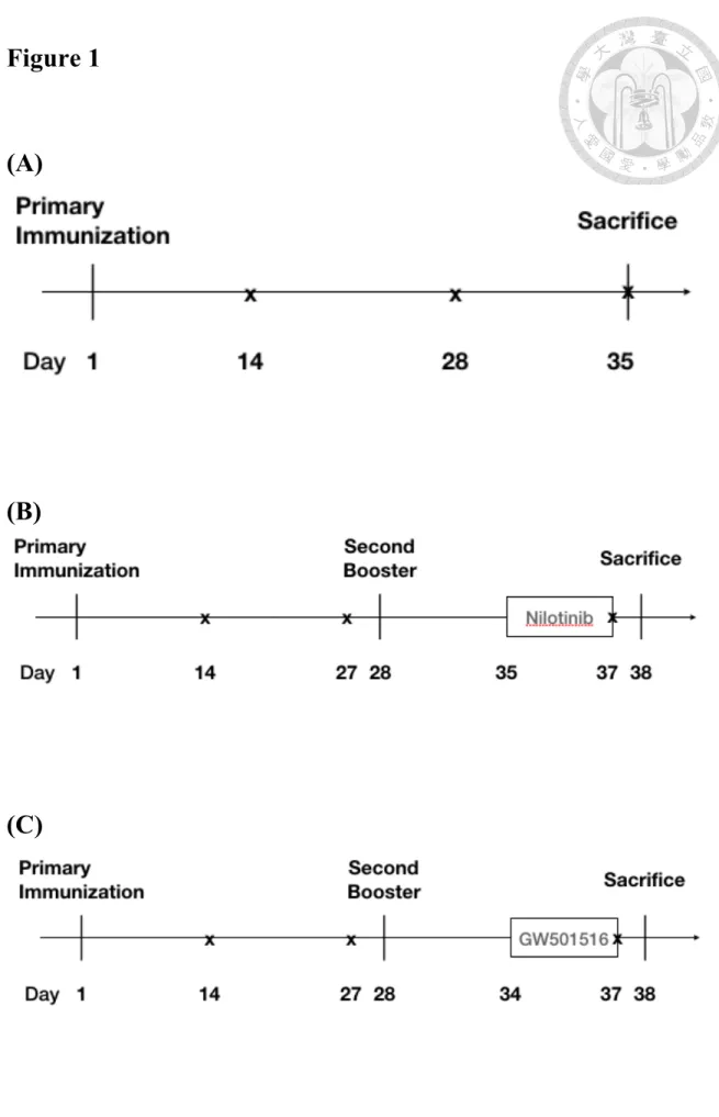 Figure 1  Mouse immunization schedules.