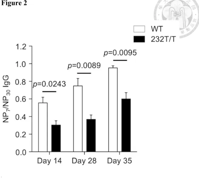 Figure 2  Analysis of the differences of affinity maturation status between wild-type and FcγRIIB 