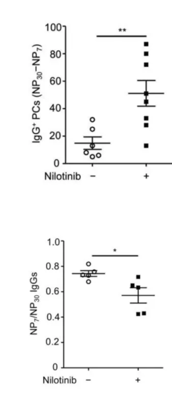 Figure 4  Analysis of the effect of nilotinib on the affinity maturation of female wild-type mice.