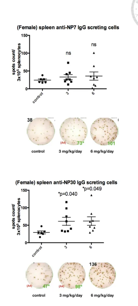 Figure 5  Analyzing IgG-secreting PCs in the spleen of female C57BL/6 mice immunized with two  different GW501516 doses by ELISPOT assay.