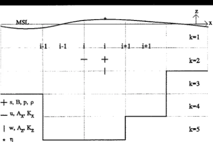 Figure  2.  C-rid  pattern,  location  and  indexing of  variables.